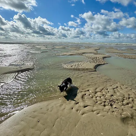 Le Paillette T2 400 M De La *