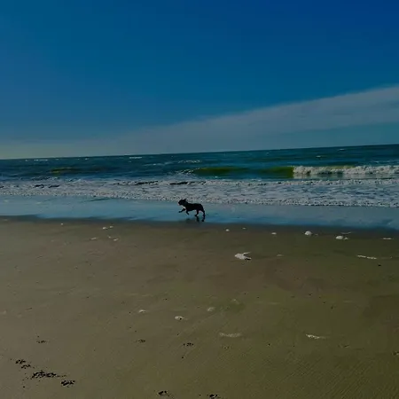 Апартаменты Le Paillette T2 400 M De La Berck