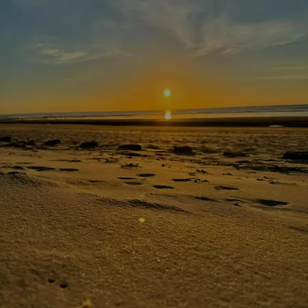 Le Paillette T2 400 M De La