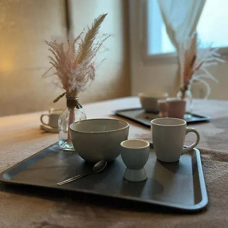 Le Paillette T2 400 M De La Appartement