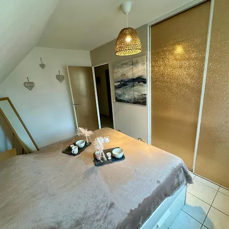 Le Paillette T2 400 M De La Appartement *