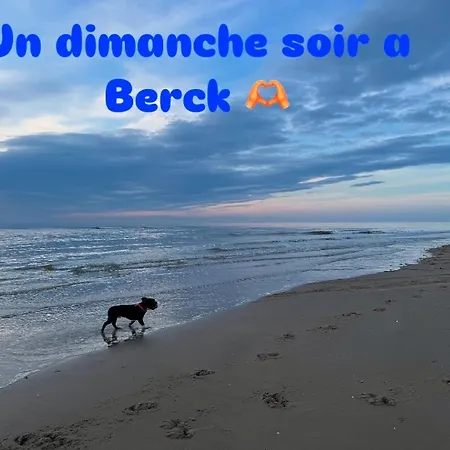 Le Paillette T2 400 M De La *