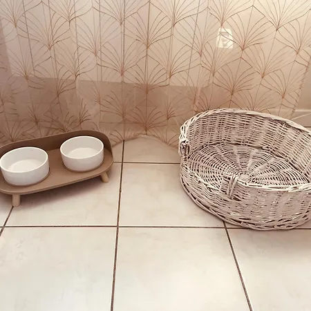 Le Paillette T2 400 M De La Apartment Berck