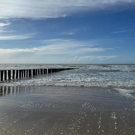 Le Paillette T2 400 M De La Berck