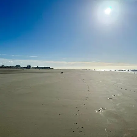 Le Paillette T2 400 M De La