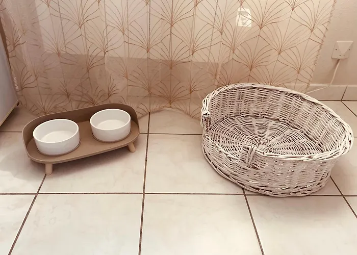 Le Paillette T2 400 M De La Appartement Berck