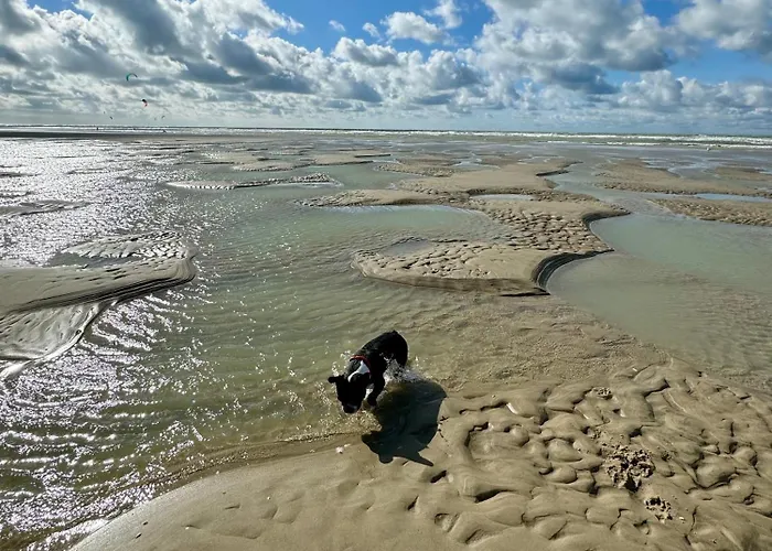 Le Paillette T2 400 M De La *