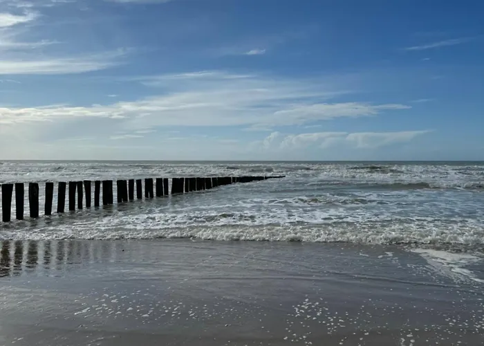 Le Paillette T2 400 M De La Berck