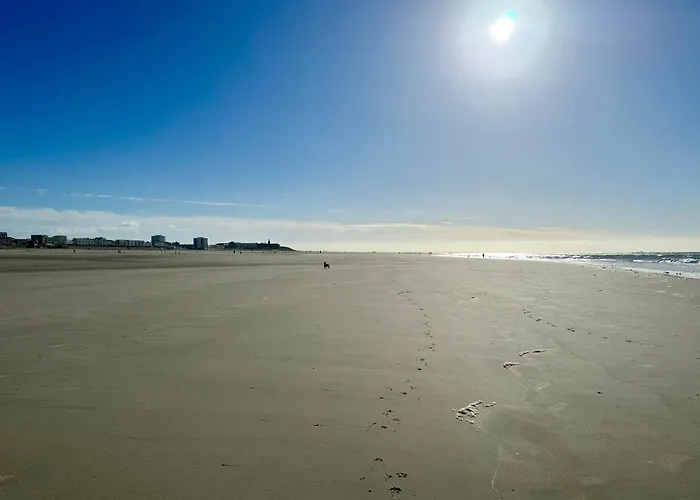 Le Paillette T2 400 M De La