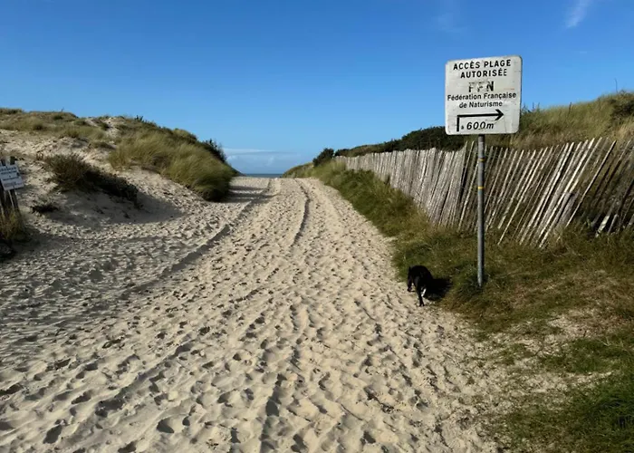 Appartement Le Paillette T2 400 M De La