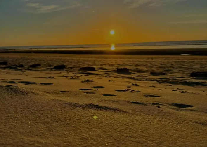 Le Paillette T2 400 M De La