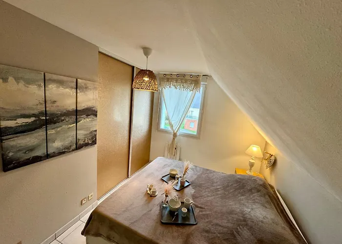 Appartement Le Paillette T2 400 M De La