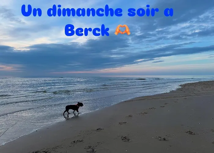 Le Paillette T2 400 M De La *